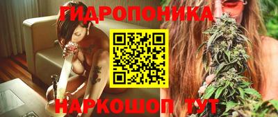 a pvp Будённовск