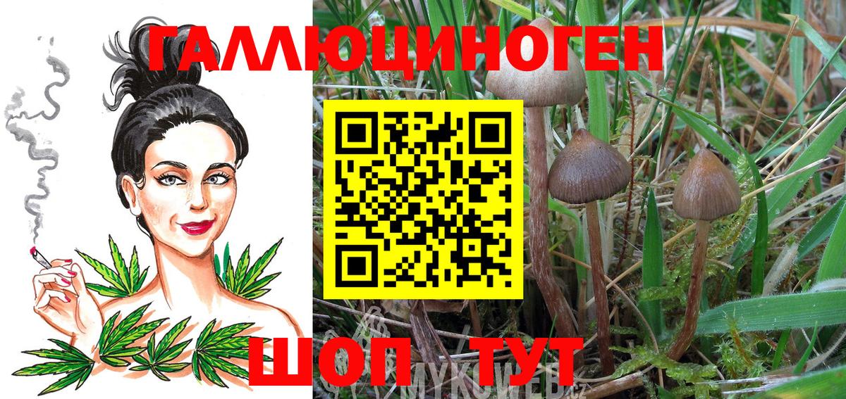 Псилоцибиновые грибы Cubensis  Вход с VPN  Нефтекамск 